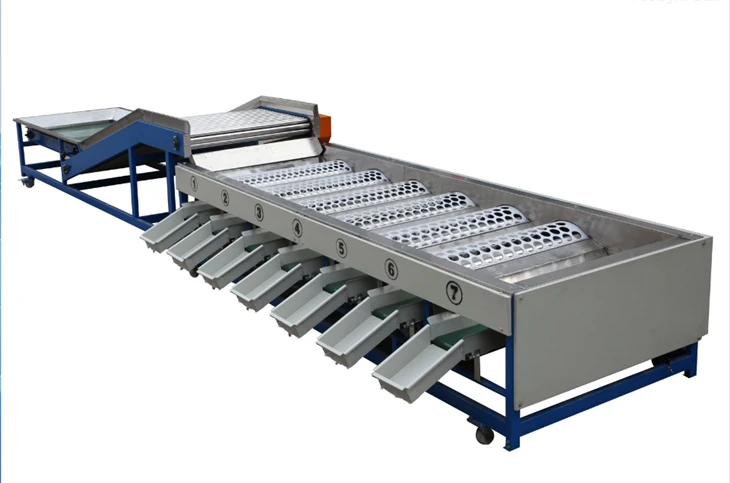 Vegetable and fruit sorting machine (1)