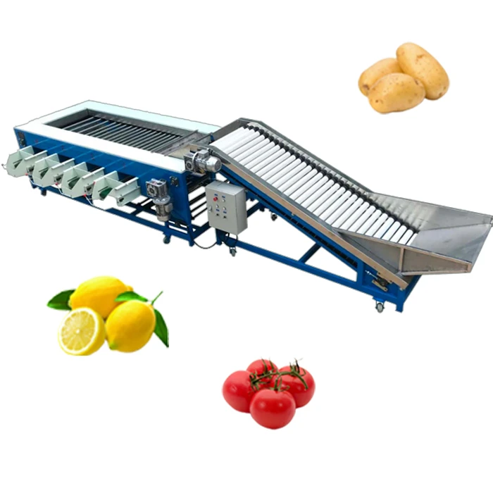 Fruit Size Grading Machine