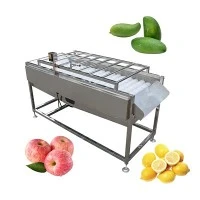 Machine à laver à la mangue de laveuse aux fruits